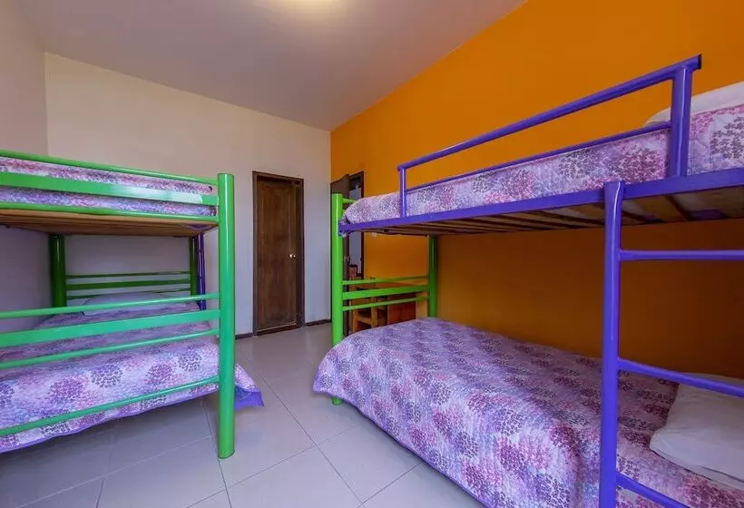 ホテル Ayenda Mountain Hostels Manizales