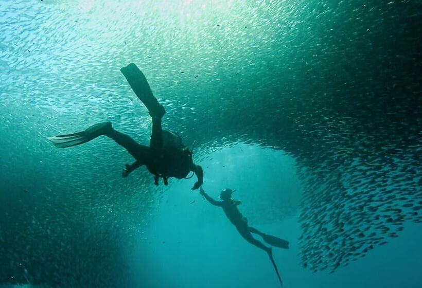 Magic Island Dive Resort