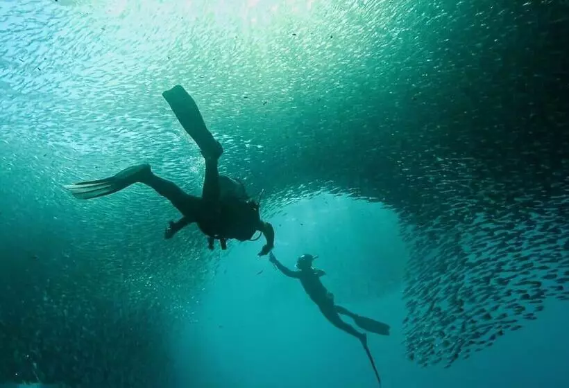 Magic Island Dive Resort