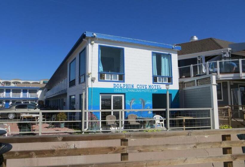 Dolphin Cove Motel