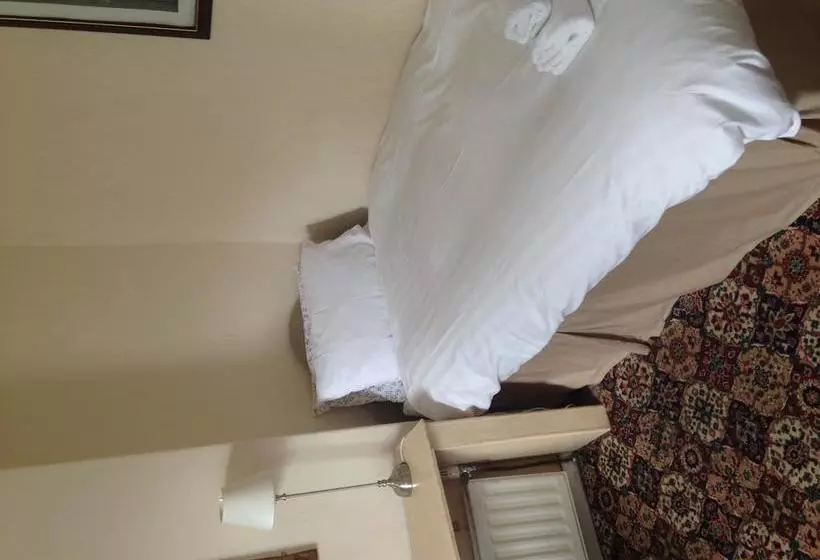 Hotel Black Lions Guest House