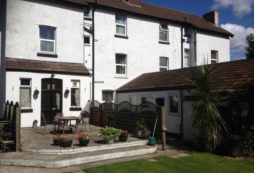 فندق Black Lions Guest House