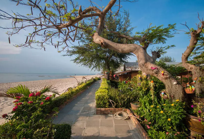 Otel Chaam Little Shop & Resort