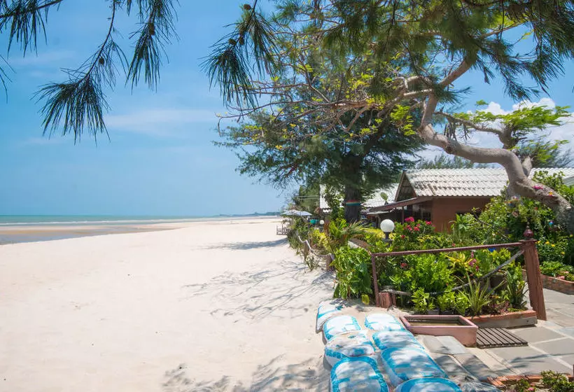 Otel Chaam Little Shop & Resort