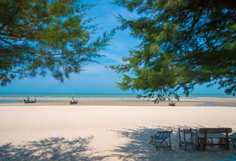 Otel Chaam Little Shop & Resort