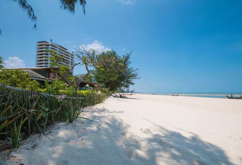 Otel Chaam Little Shop & Resort