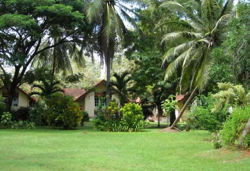 Hotel Cleanwave Resort Chumphon