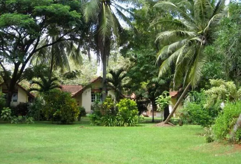 Hotel Cleanwave Resort Chumphon