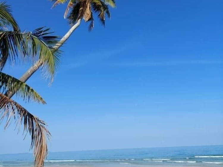 Hotel Cleanwave Resort Chumphon