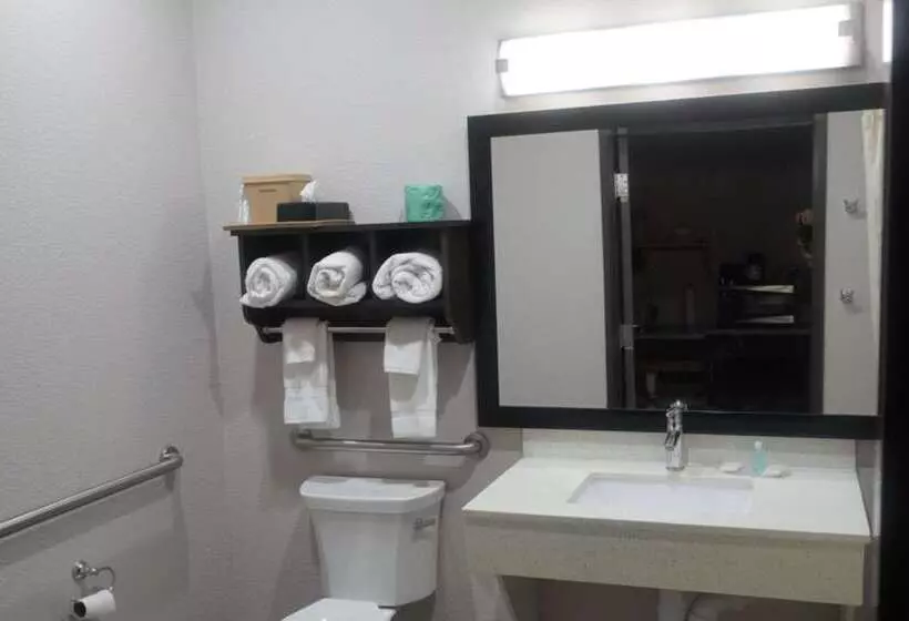 فندق Mainstay Suites Odessa I20