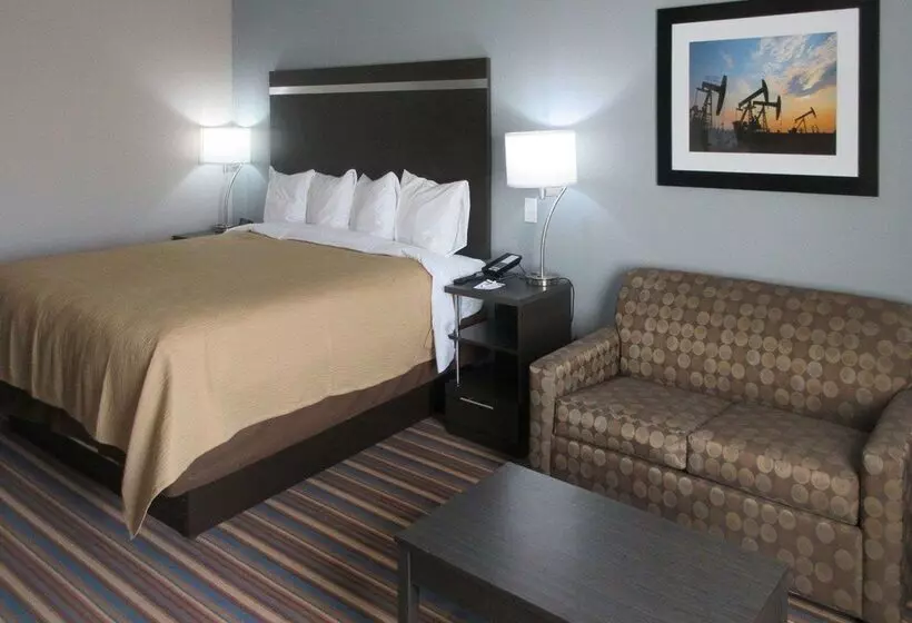 فندق Mainstay Suites Odessa I20