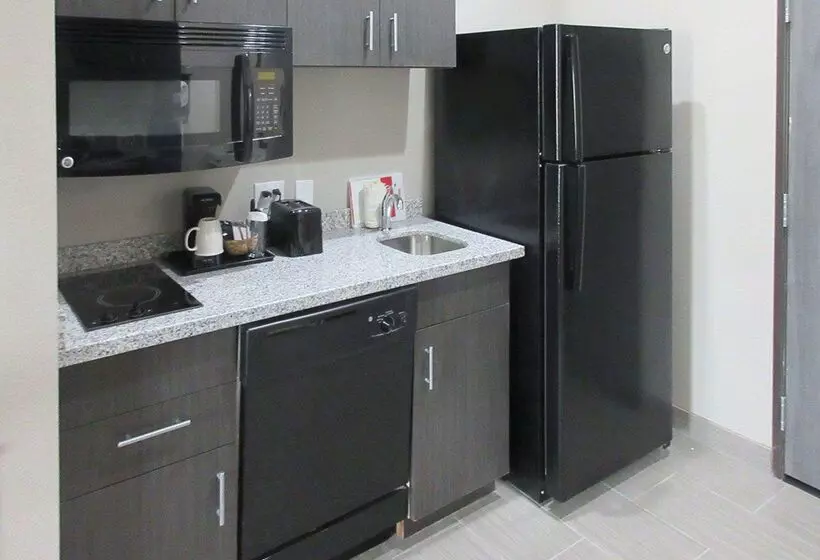 فندق Mainstay Suites Odessa I20