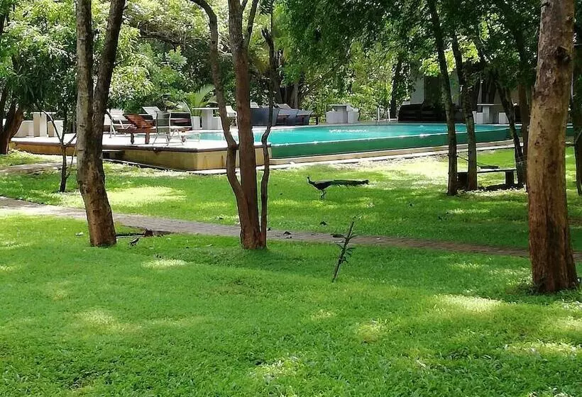 בית מלון כפרי Nil Diya Mankada Safari Lodge