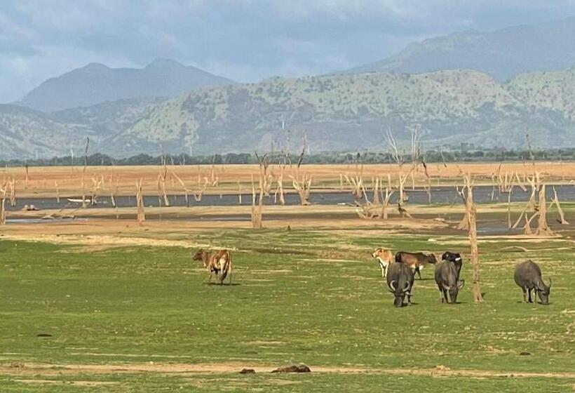 Отель Nil Diya Mankada Safari Lodge