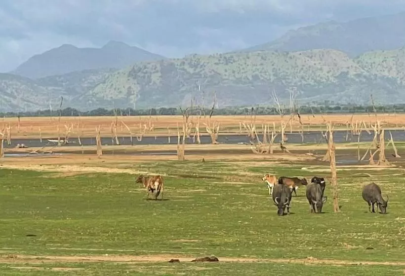 בית מלון כפרי Nil Diya Mankada Safari Lodge