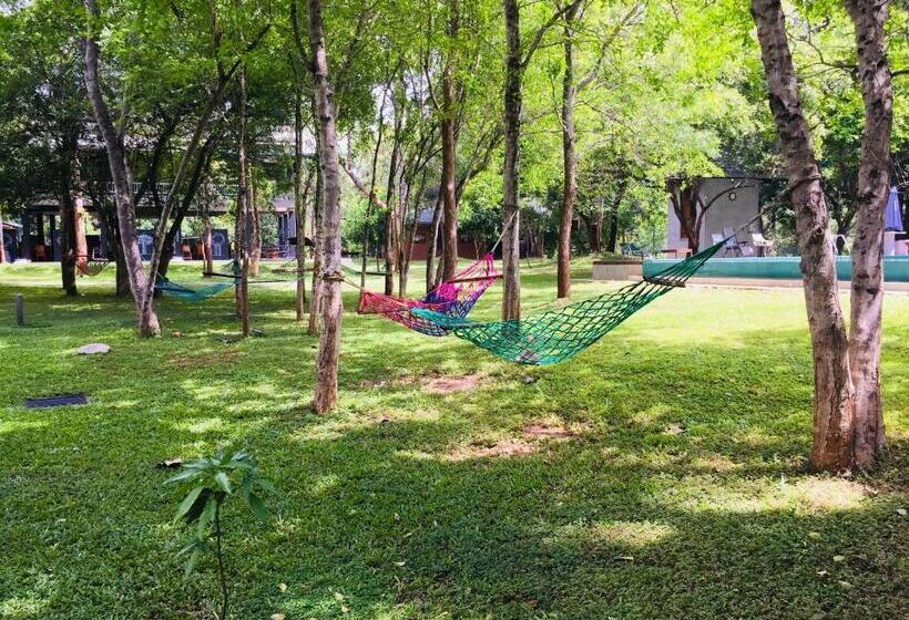 Отель Nil Diya Mankada Safari Lodge