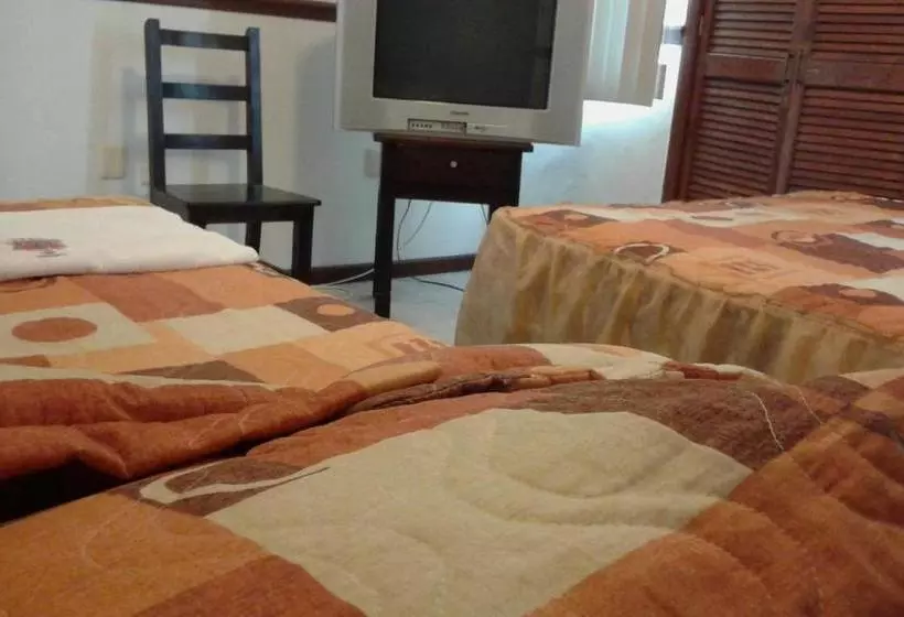 酒店 Suites Ripoll Alameda