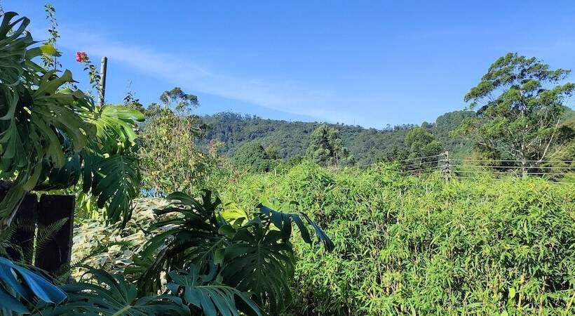 פנסיון Andrews Hostel