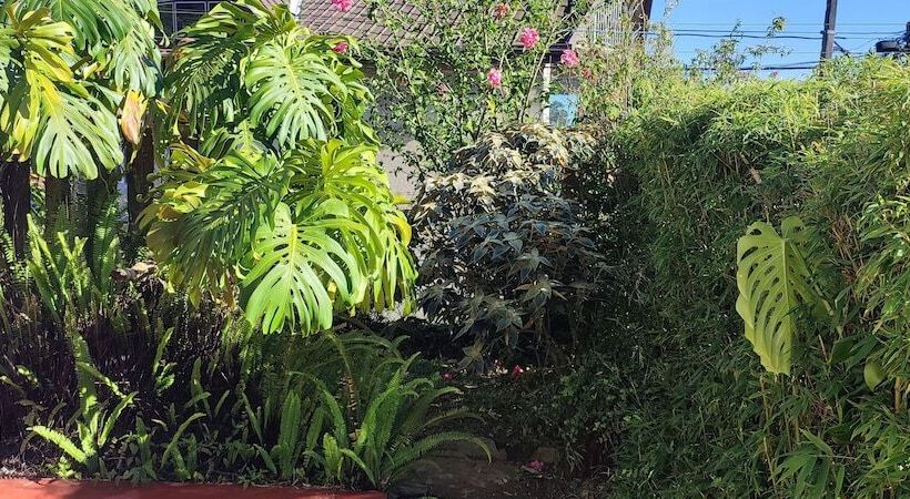 פנסיון Andrews Hostel