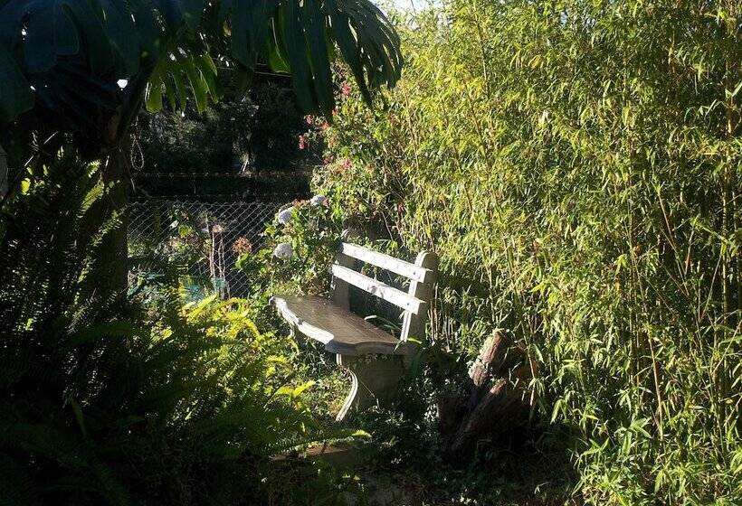 פנסיון Andrews Hostel