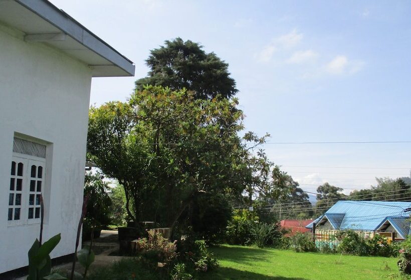 פנסיון Andrews Hostel