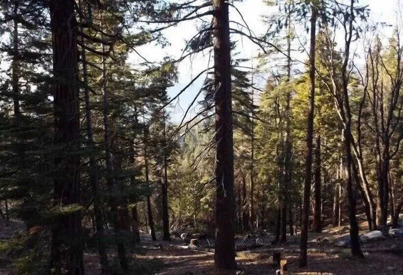 Scenic Wonders Mystic View 3 Bedrooms