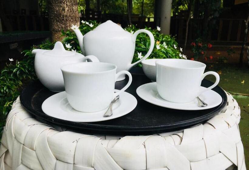 Alikele Hotel & Resort