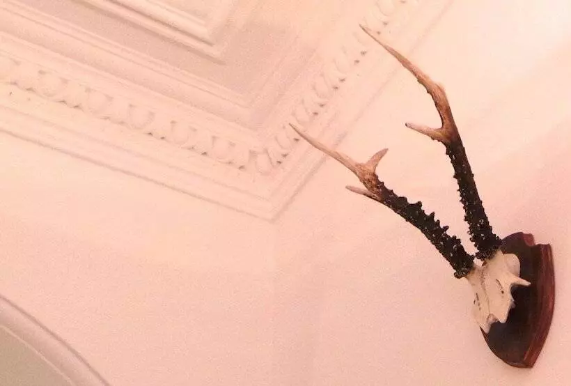 تختخواب و صبحانه Antler Guest House