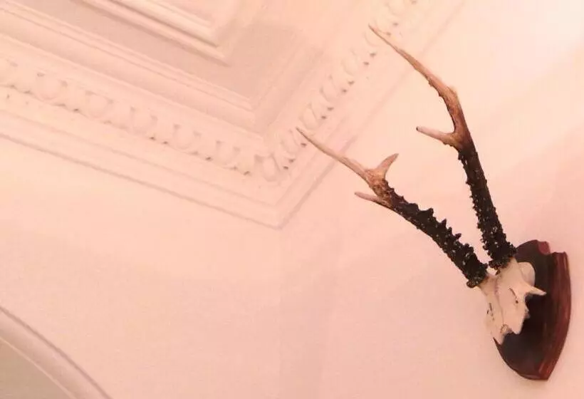 تختخواب و صبحانه Antler Guest House