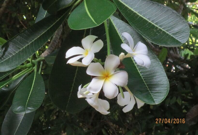 Bed and Breakfast Feel Beach Villa