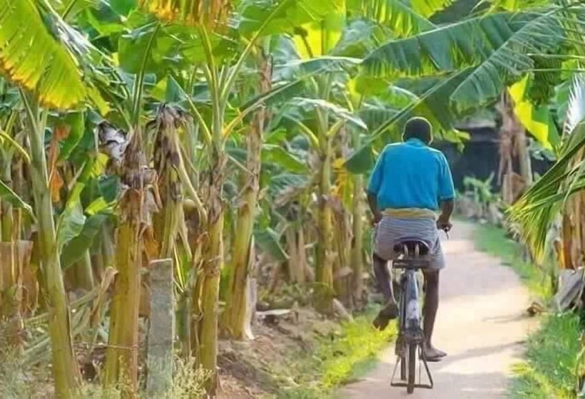 Bed and Breakfast Feel Beach Villa