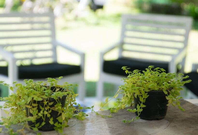 Bed and Breakfast Feel Beach Villa