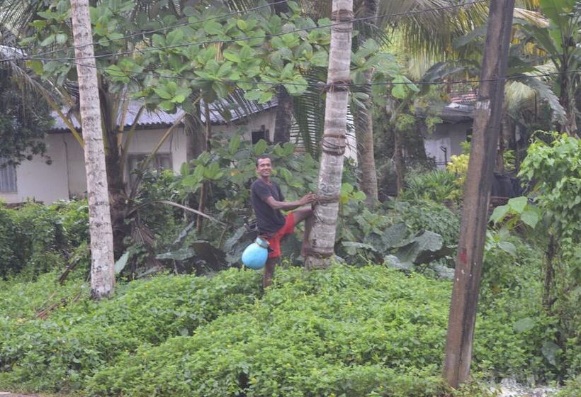 Bed and Breakfast Feel Beach Villa