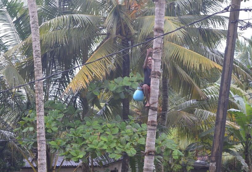 Bed and Breakfast Feel Beach Villa