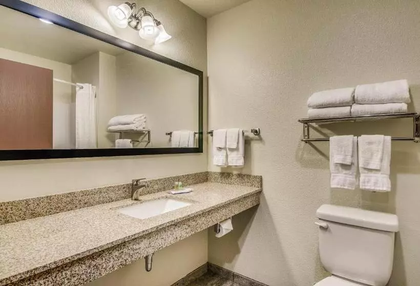 酒店 Cobblestone Inn & Suites Big Lake