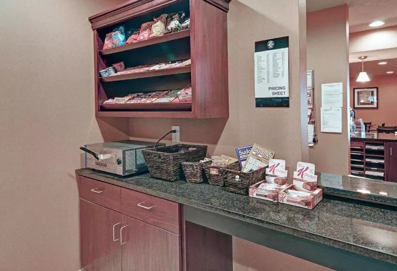 酒店 Cobblestone Inn & Suites Big Lake