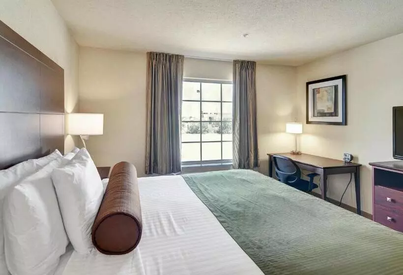 酒店 Cobblestone Inn & Suites Big Lake