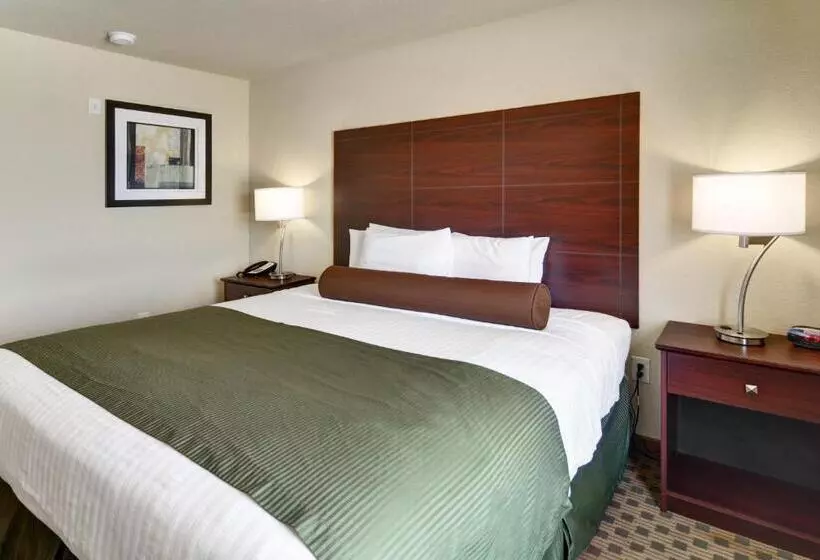 酒店 Cobblestone Inn & Suites Big Lake