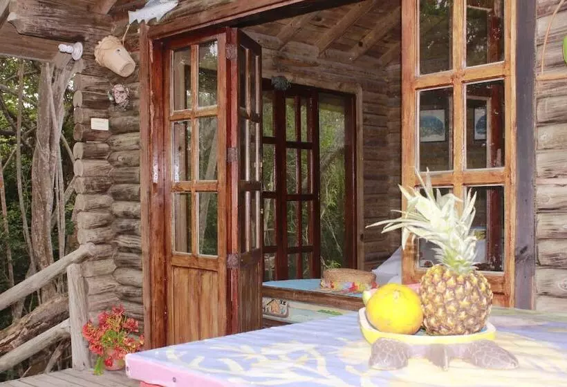 ホテル Isla Palma Playa Y Ecohabs
