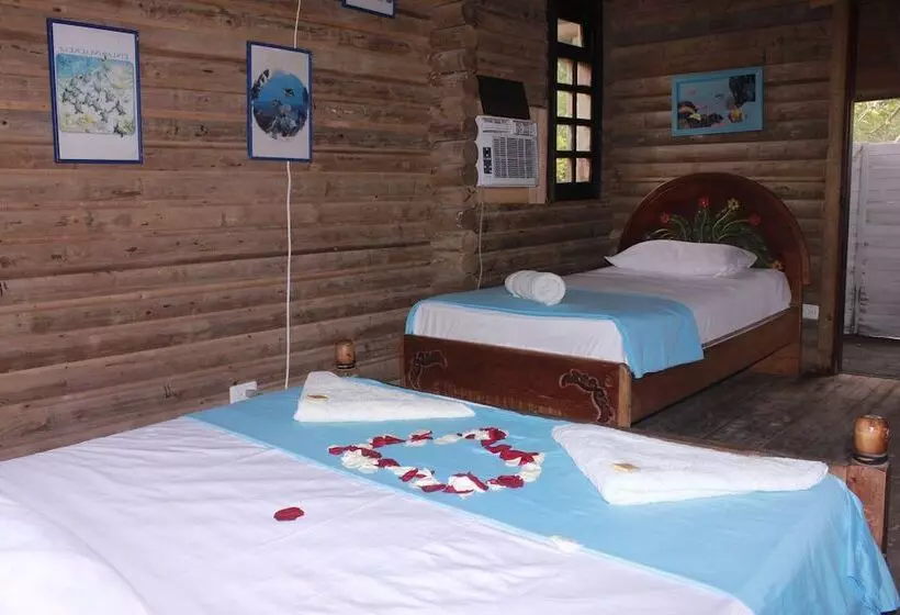 ホテル Isla Palma Playa Y Ecohabs