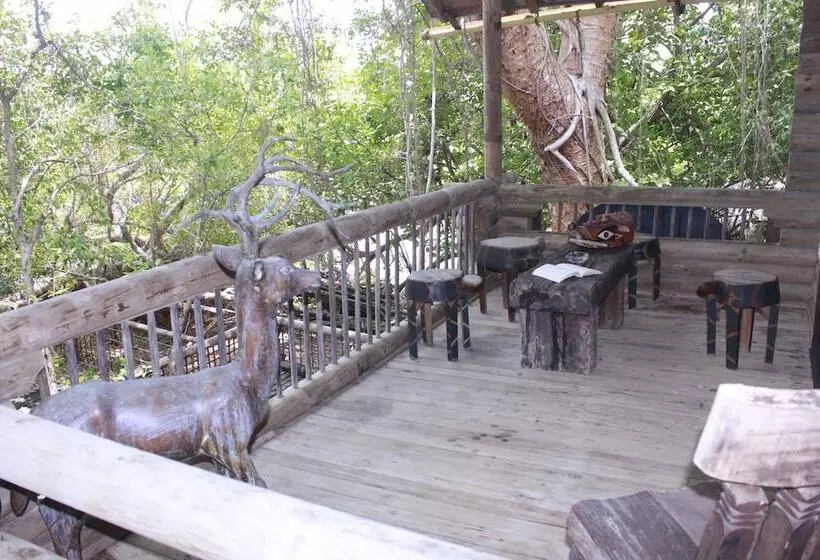 ホテル Isla Palma Playa Y Ecohabs