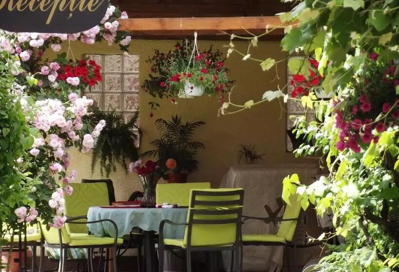 호텔 Pensiunea Fortuna