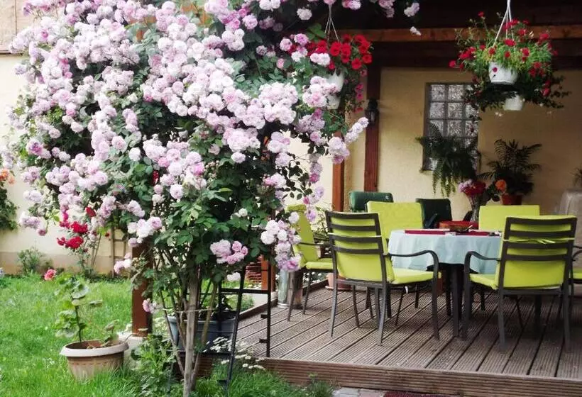 호텔 Pensiunea Fortuna