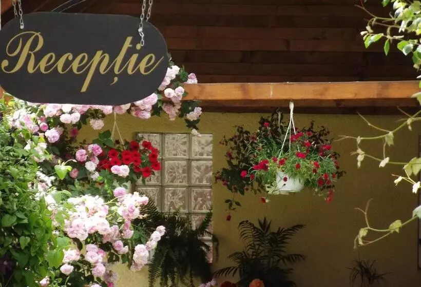 호텔 Pensiunea Fortuna