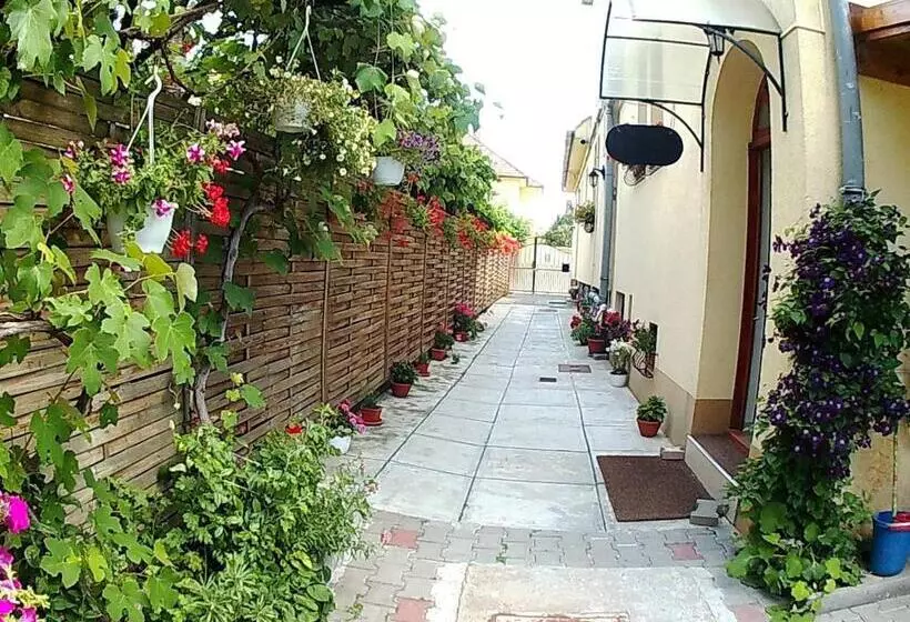 호텔 Pensiunea Fortuna