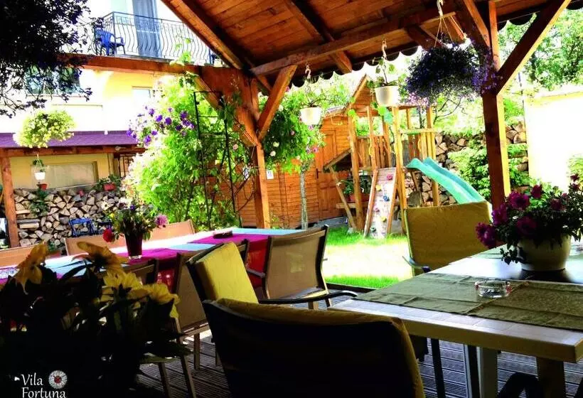 호텔 Pensiunea Fortuna