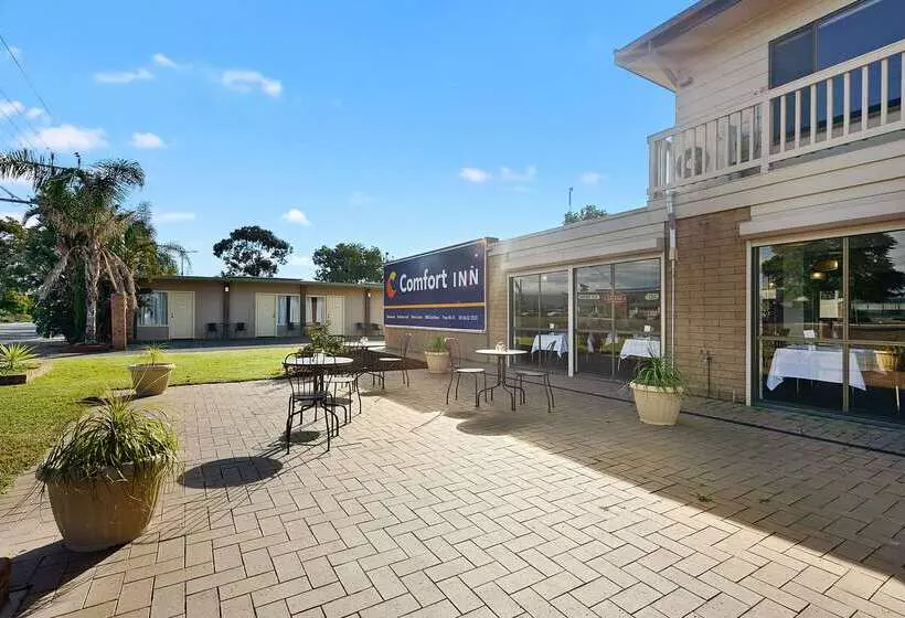 Motel Comfort Inn Flinders On Main