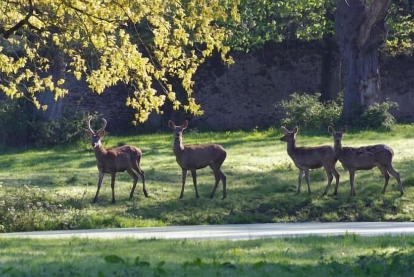 بنسيون Le Manoir Du Perray