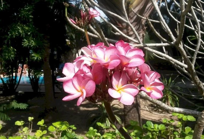 Pensionat Rawai Garden Bungalows