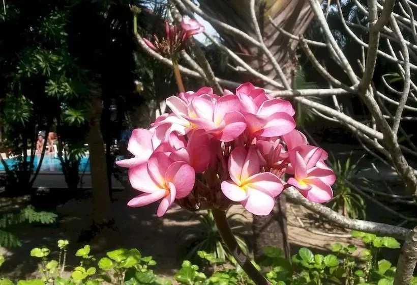 Majatalo Rawai Garden Bungalows